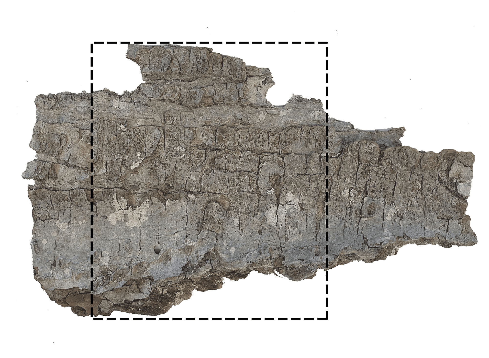 Diagrammes explicatifs - approche volumetrie et materialite 1.png