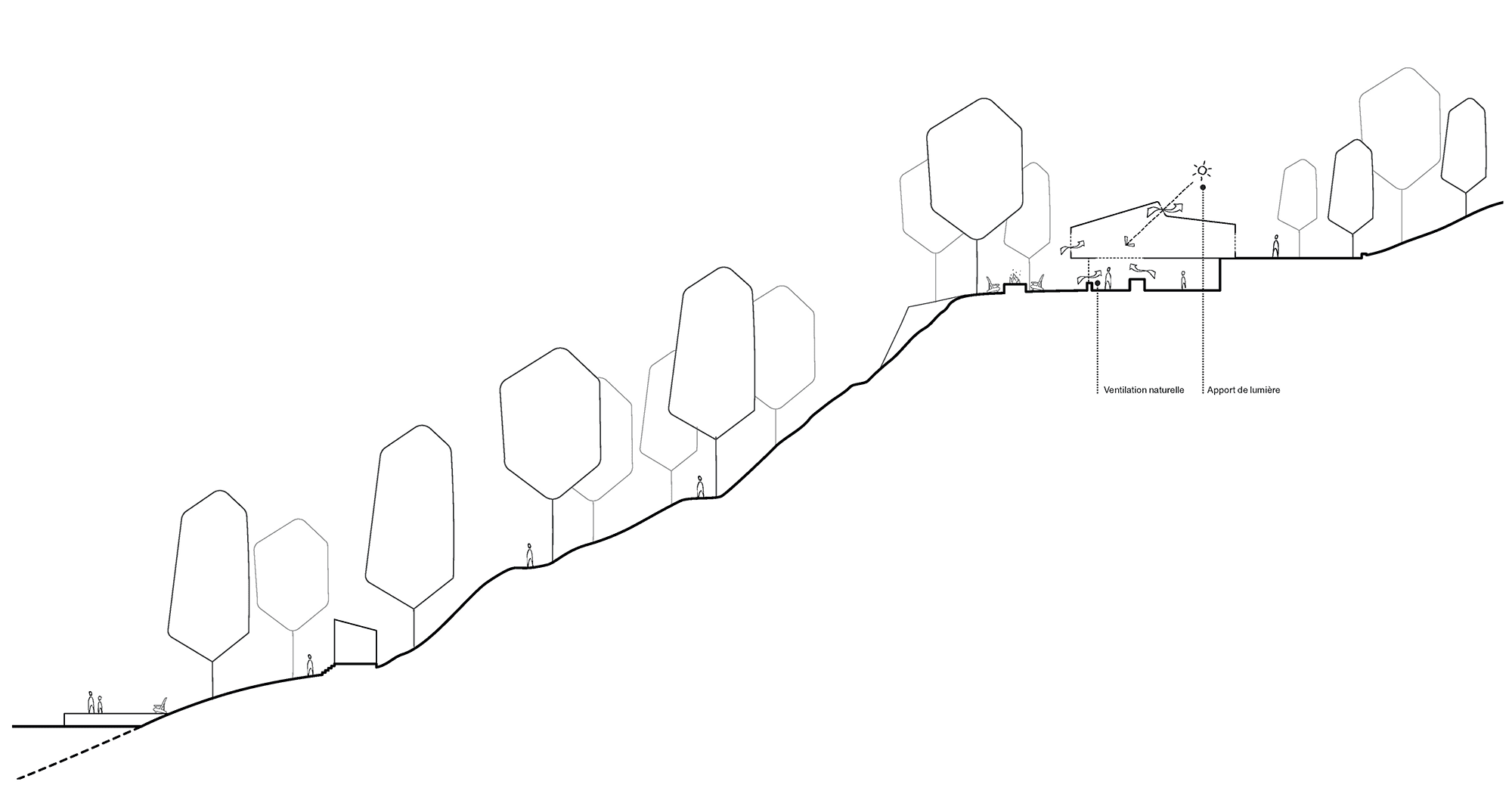 Diagrammes explicatifs - approche volumetrie et materialite 6.png